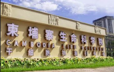 ArtificialJimL's tweet image. 柬埔寨生命科学院什么来头啊？官网一打开只有中英文，上来给我展示一对腰子……