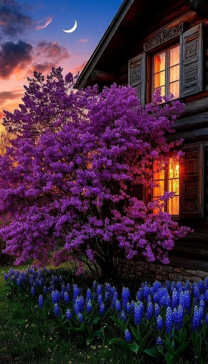 Good night 🌠 dear friends and sweet dreams 😘 Sleep well.💞🌸 Happy Tomorrow.🌿🕊️💞