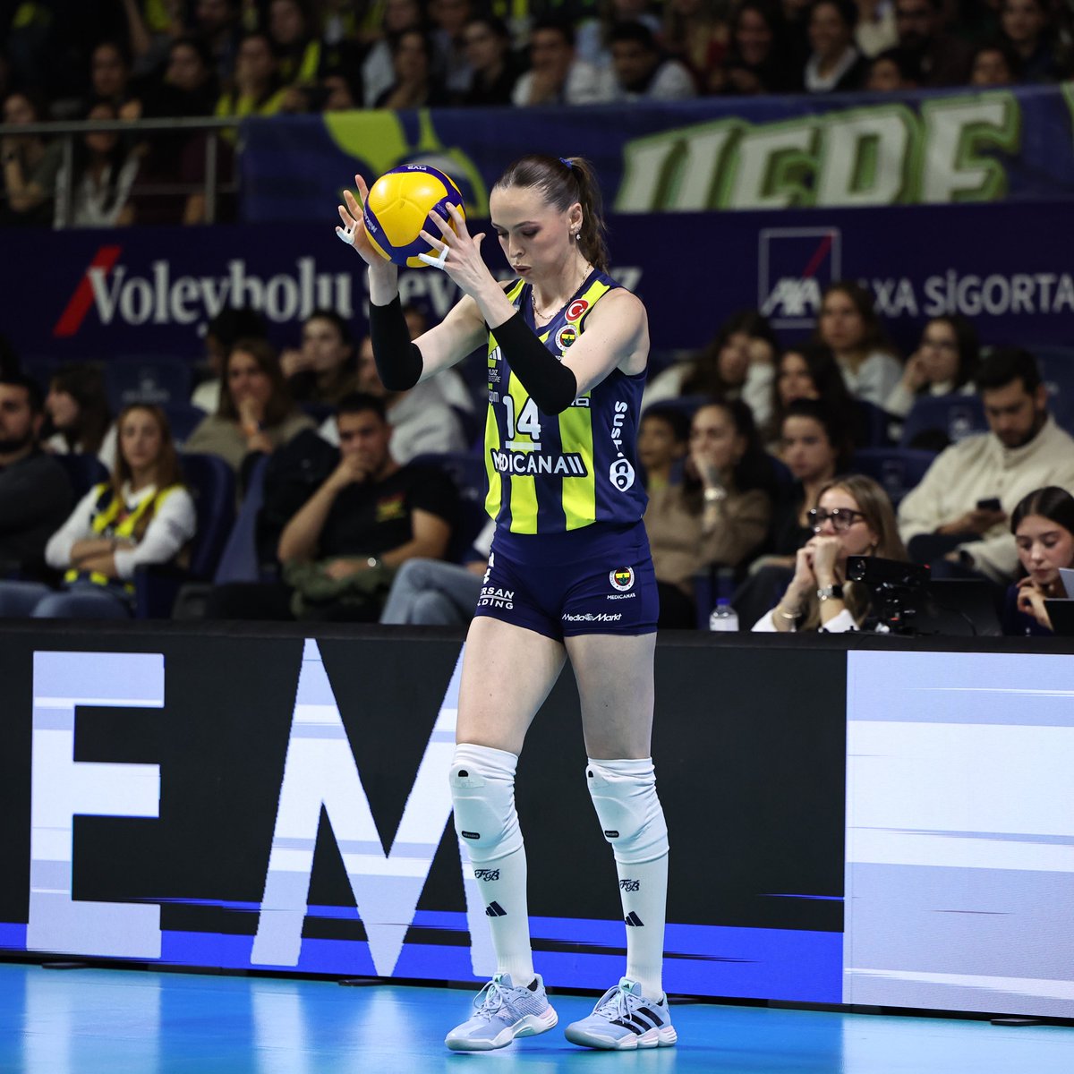 FBvoleybol's tweet image. 📸 Galibiyetimizden kareler.

#SarıMelekler