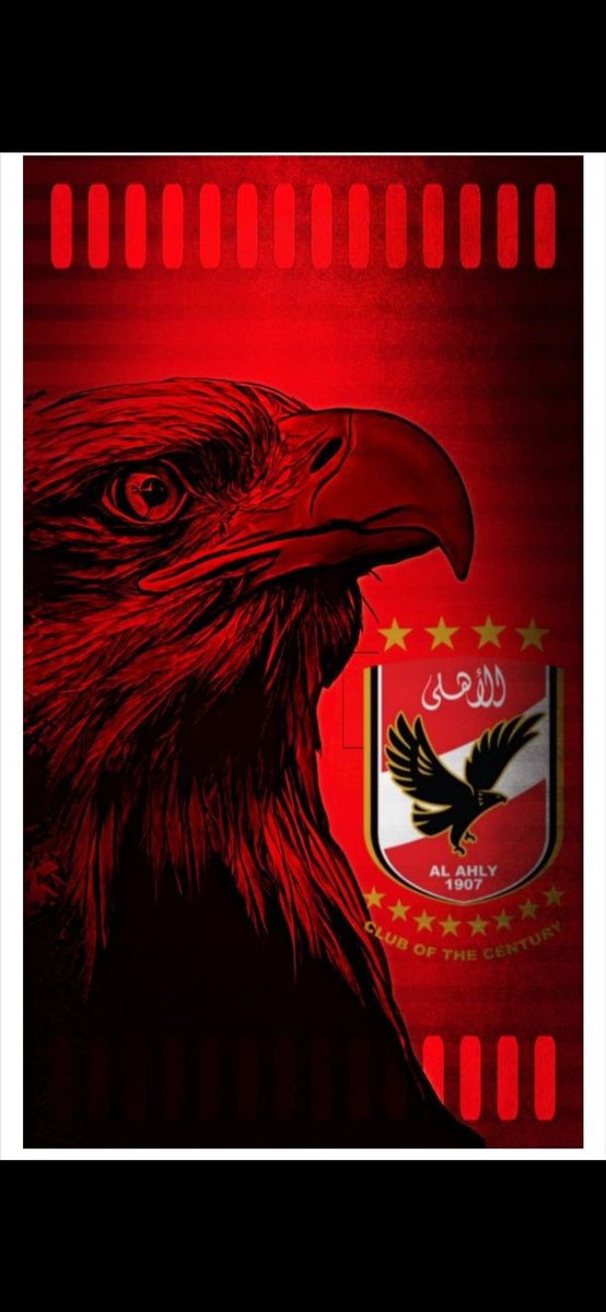 نسر الأهلي يبدأ مرحلة البحث على الأميرة السمراء #نبدا_المشوار_افريقيا_ياابطال