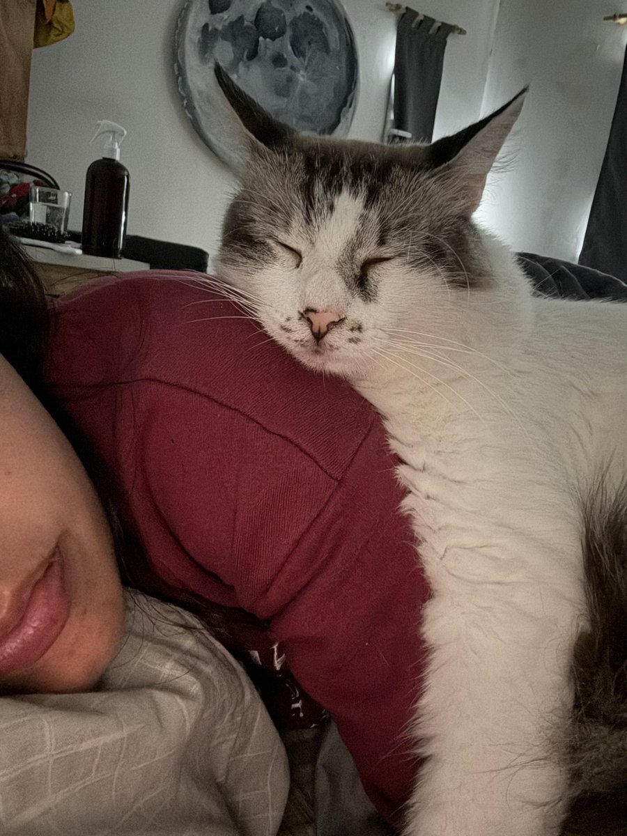 bianpuki's tweet image. En esta casa no hay ningún tipo de respeto por el espacio personal