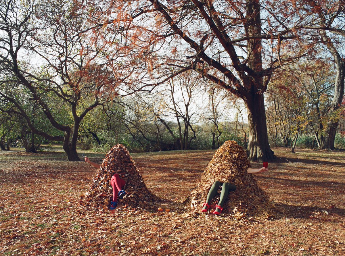 Morganavp's tweet photo. here’s my favorite photo series I’ve created to cleanse your timeline ✨

my first surrealist photo shoot series inspired by fall

directed, shot, and half modeled by yours truly✨
(minus one, you can only upload 4 pics :,) https://t.co/3alTPCNiLD