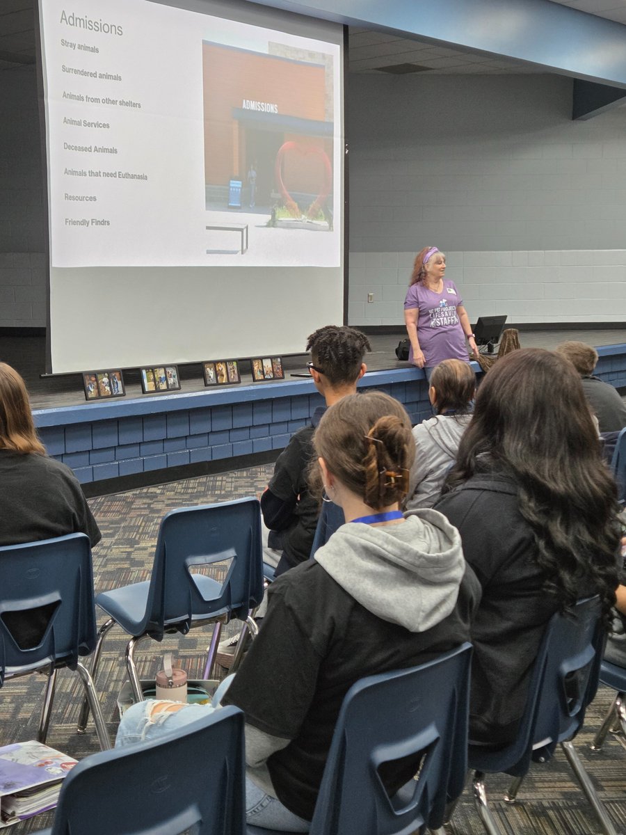 Bingham MS tweet media