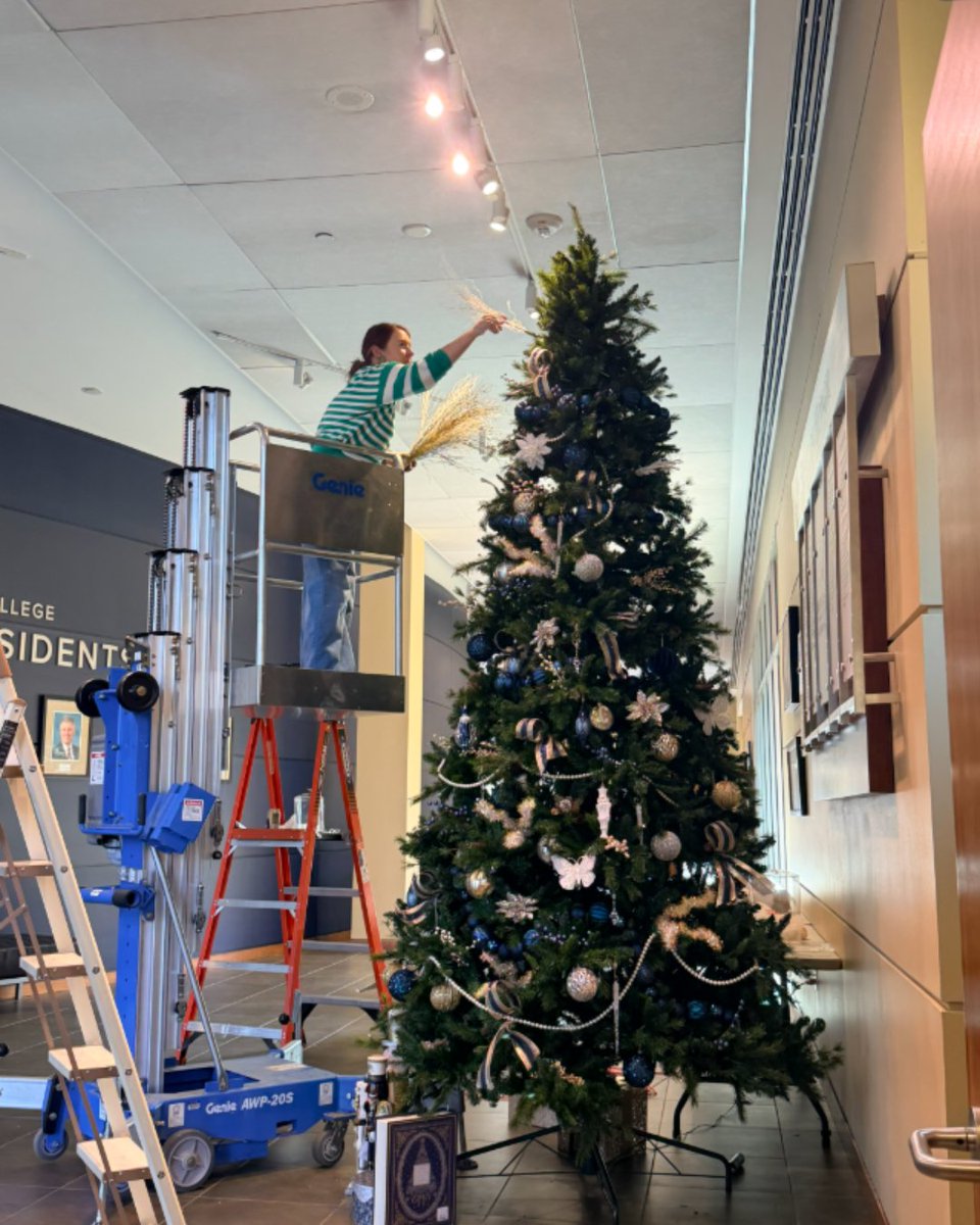 HarbisonTheatre's tweet image. The halls are officially decked! 🎄✨ 

Harbison Theatre is getting into the holiday spirit, and we can’t wait to celebrate the season with you! Who’s ready for a festive season of shows?