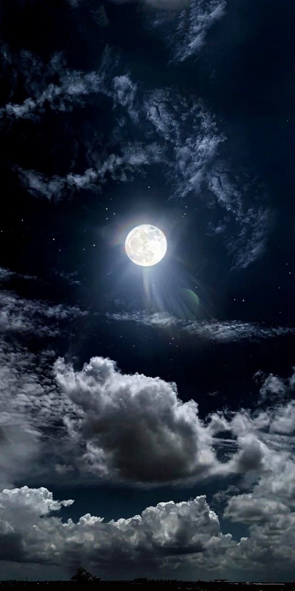 JekyllJr1's tweet image. Algún día, la luna no será consuelo,
será testigo del regreso.🥲
Buenas noches