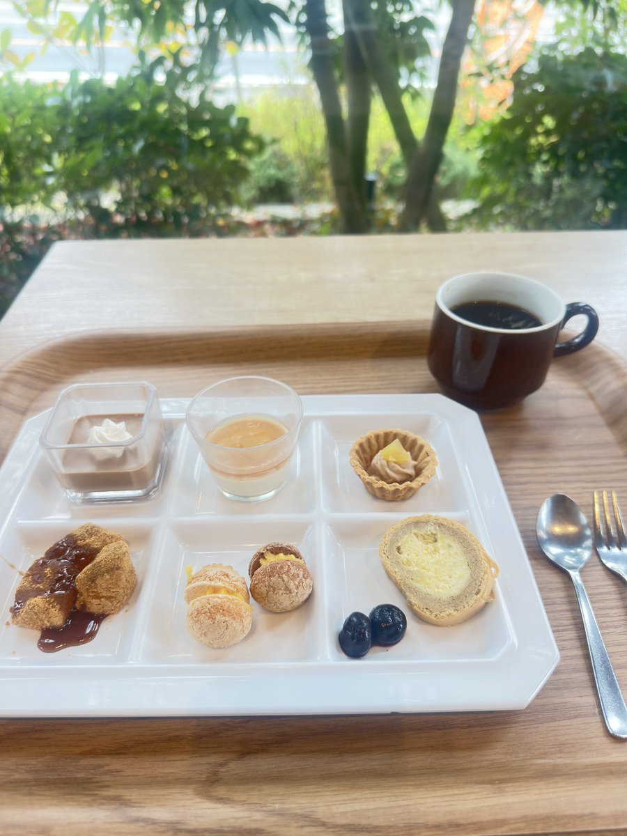 Ajfo98Sh's tweet image. おはようございます😊

ここ数日間のデブル素🐽🐽

LIVEまで絶食かな😅🤣

only oneだった省吾さん💕の写真集
ビリビリされても😭
ドックランで遊ぶ姿が
我が子より可愛いく感じる💕🐶

LIVEまで💃後チョコっと💕

ありがとうございました✨

#浜田省吾 
#朝食 
#ランチ 
#これも仕事
#デブル素