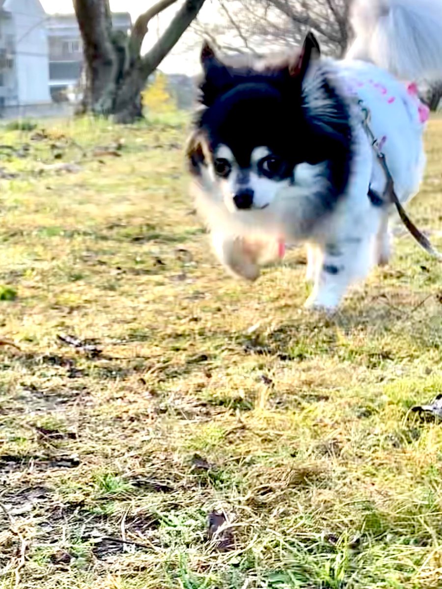 ModeLab_K's tweet image. おはようモーニング😀
今日もお天気ですよ♪
後一日で三連休！
頑張っていきましょう♪