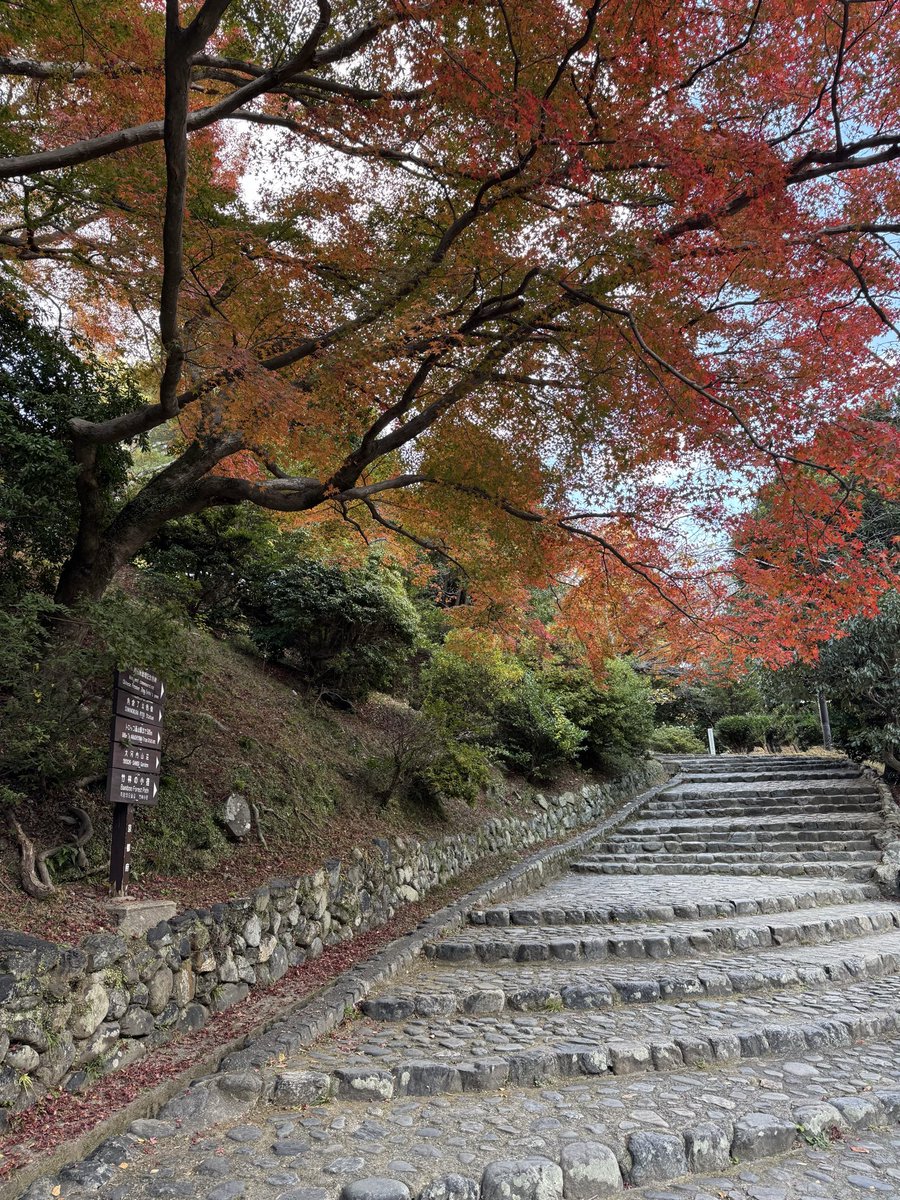 JainaEmm's tweet image. Morning all. 🍁