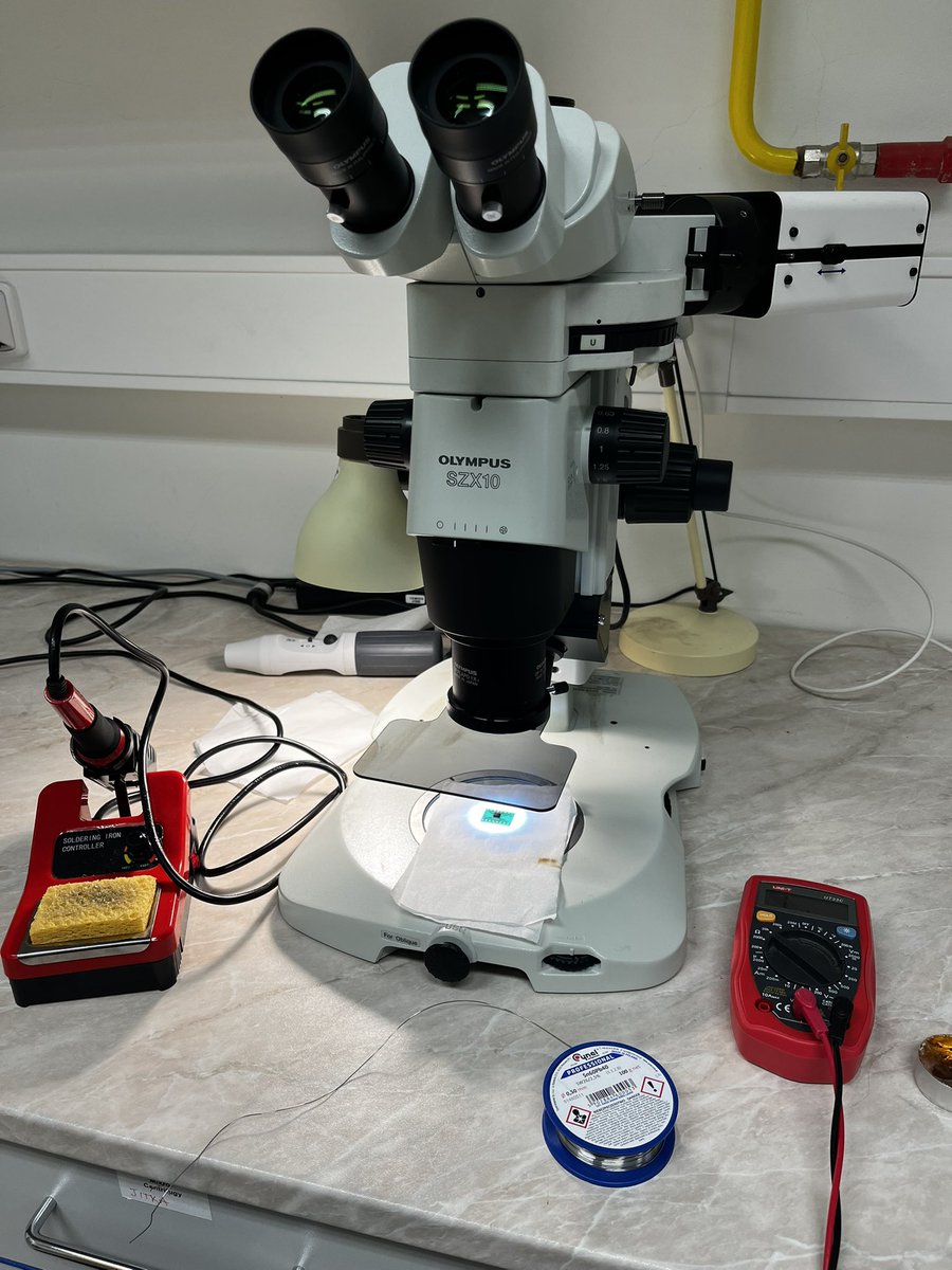 Josef Lazar tweet media