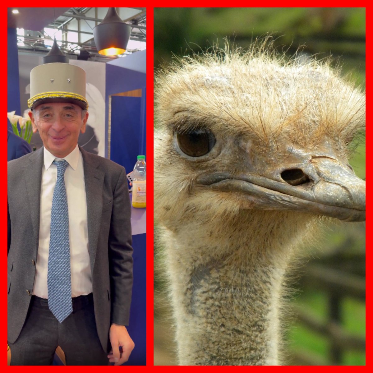 <a href="/news_and_truth/">The NEWS</a> Ce type  a une tête d'Autruche..