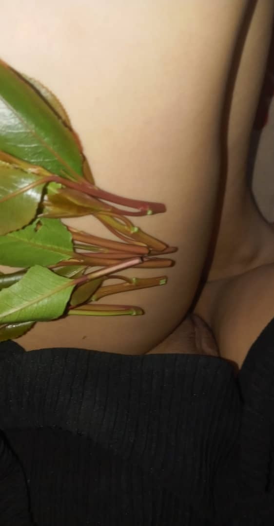 انا لوحدي سهرانة بفرك شي اذا زبك واقف و ما عندك صاحبة تريحك تعال اريحك دعوة فديو🥵
بس اعمل ريتويت و حمل التطبيق من الرابط 👇💥
ahaapp.net/490vJeH
ولم أبحث عن الايدي تبعي
20390049
انا بانتظارك و شي نار #الخميس_الونيسᅠ