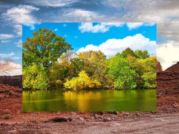 _sing_DD's tweet image. ⚗Creativity flows in silence with purpose.🩺Morning fog, lift.