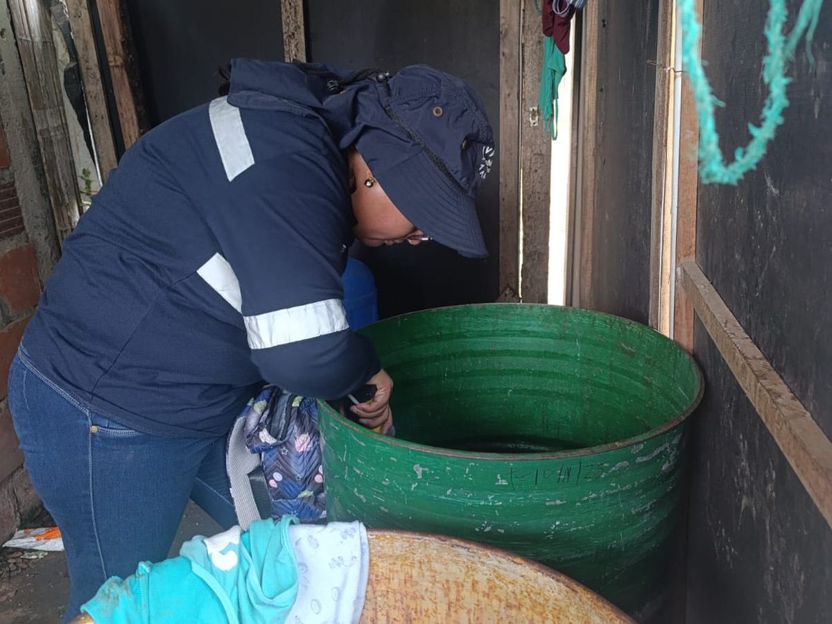 Salud_CZ8's tweet image. El personal de #ControlVectorial del Distrito 09D08, realizó destrucción de criaderos y abatización en #VíaALaCosta.

Estas acciones se ejecutan con el objetivo de prevenir la propagación del mosquito Aedes aegypti🦟, causante del dengue, zika y chikungunya.
 
#ElNuevoEcuador