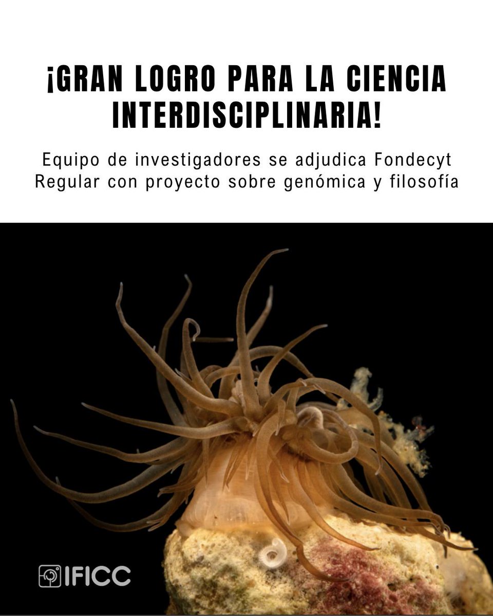 IFICC tweet media