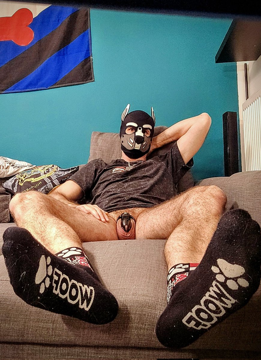 Puppy Jack tweet media