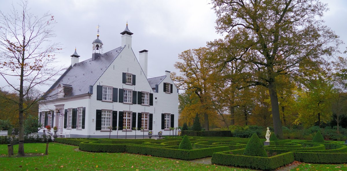 Het Groene Woud tweet media