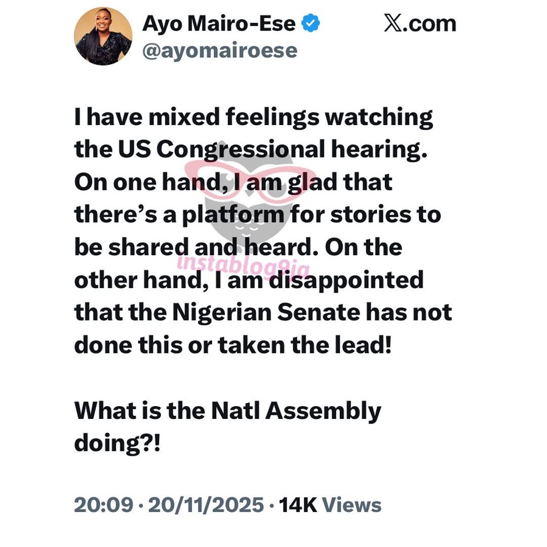 What is the National Assembly doing? — Journalist Ayo Mairo-Ese asks as she reveals her mixed feelings about the US congress hearing on Nigeria