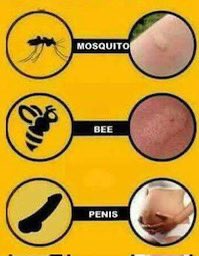 Health Alert: Travelling abroad? These are the dangerous bumps to look out for.