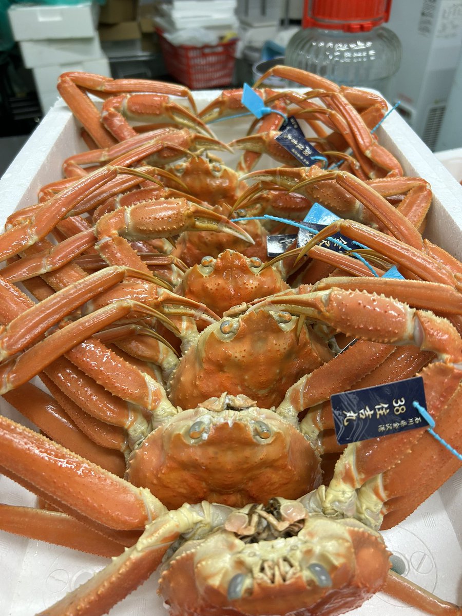 バナナん (@ZimamBananan) / Posts / X