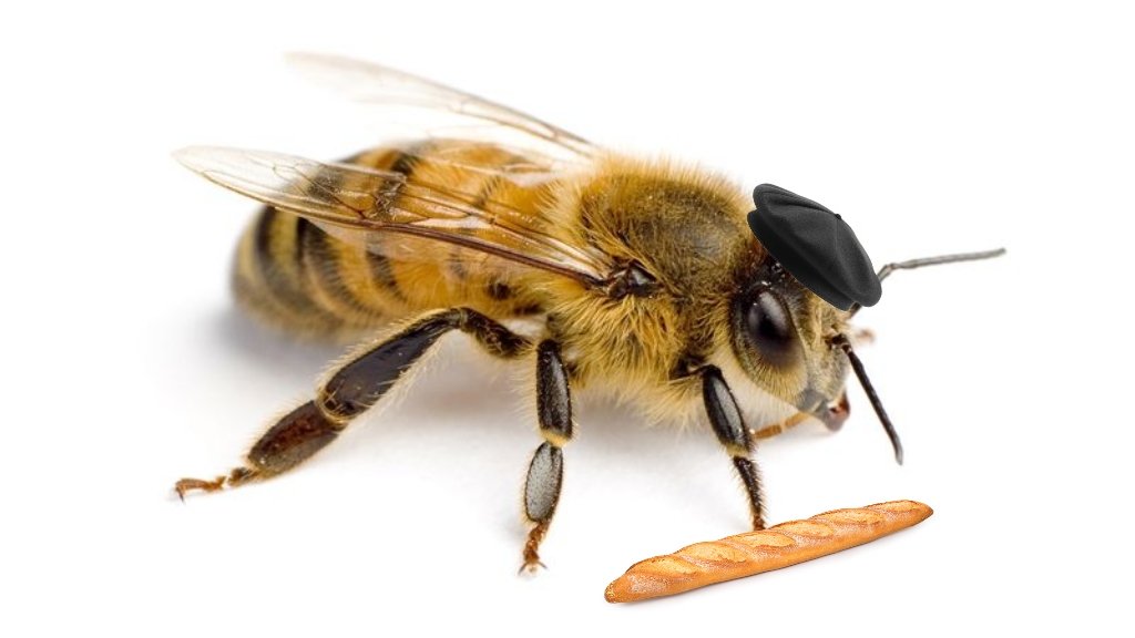 "I am the french bee! I am french!"
-the french bee.