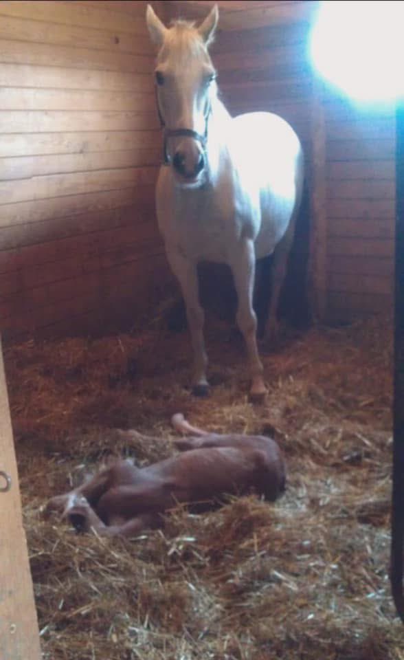 Kelsie Figgins tweet media