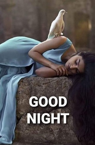 Good night and sweet dreams to everyone, may it be wonderful  😴🫶🙏🌑🕊️