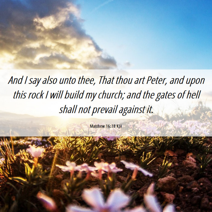 CelerityCall's tweet photo. May we reason together.☺️

When that account in Matthew 16 is studied in context with the rest of the Bible, Jesus referred to Peter's faith in Him as the Son of the living God; and sadly, Peter later rebuked Jesus, then Jesus addressed him as Satan for savoring the things of men rather than the things of God.

Thus, Jesus founded His church upon Himself rather than on the finite and vacillating person of Peter (Psalms 62, 1 Corinthians 10, Ephesians 2).;