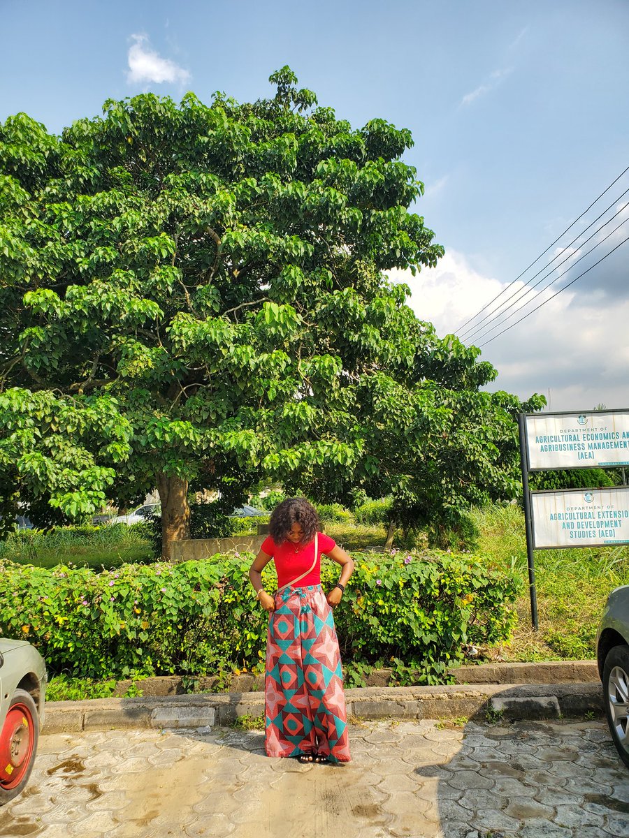 PeaceOgon tweet picture