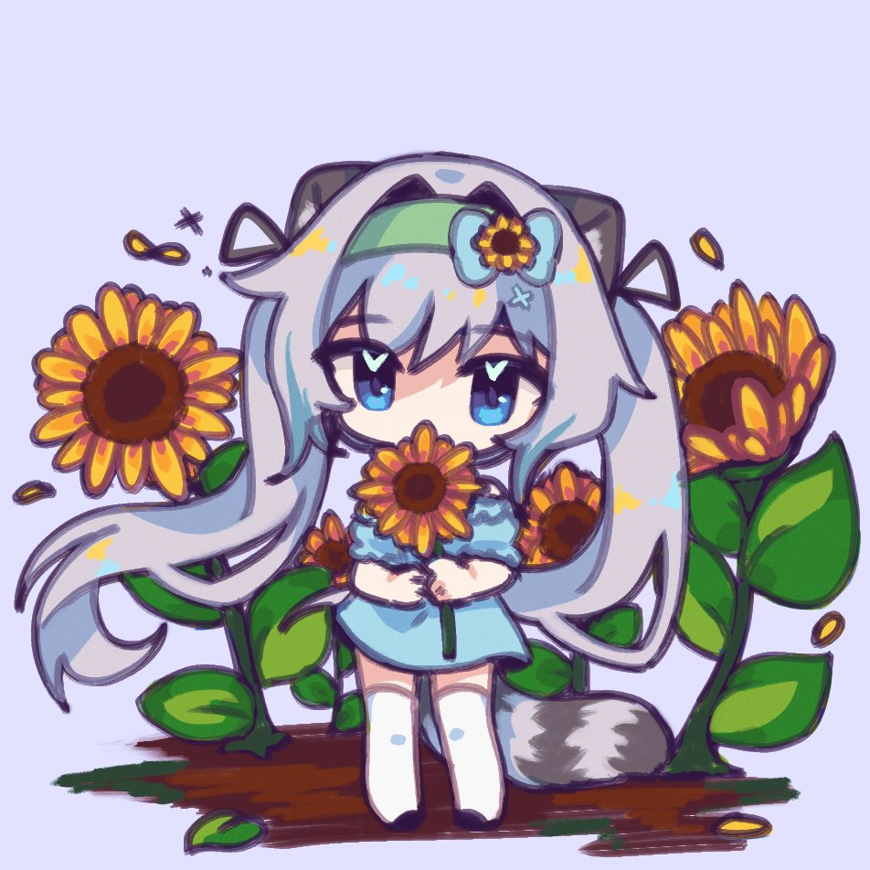 _cieller's tweet image. ₊˚⊹🌻🤍₊˚⊹ himawari #VGenComm