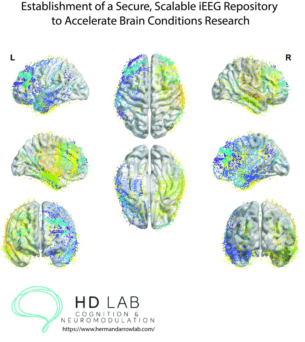 Karrie Molitor tweet media