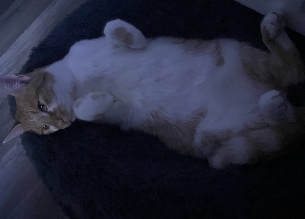 vi (@viesuess) on Twitter photo 