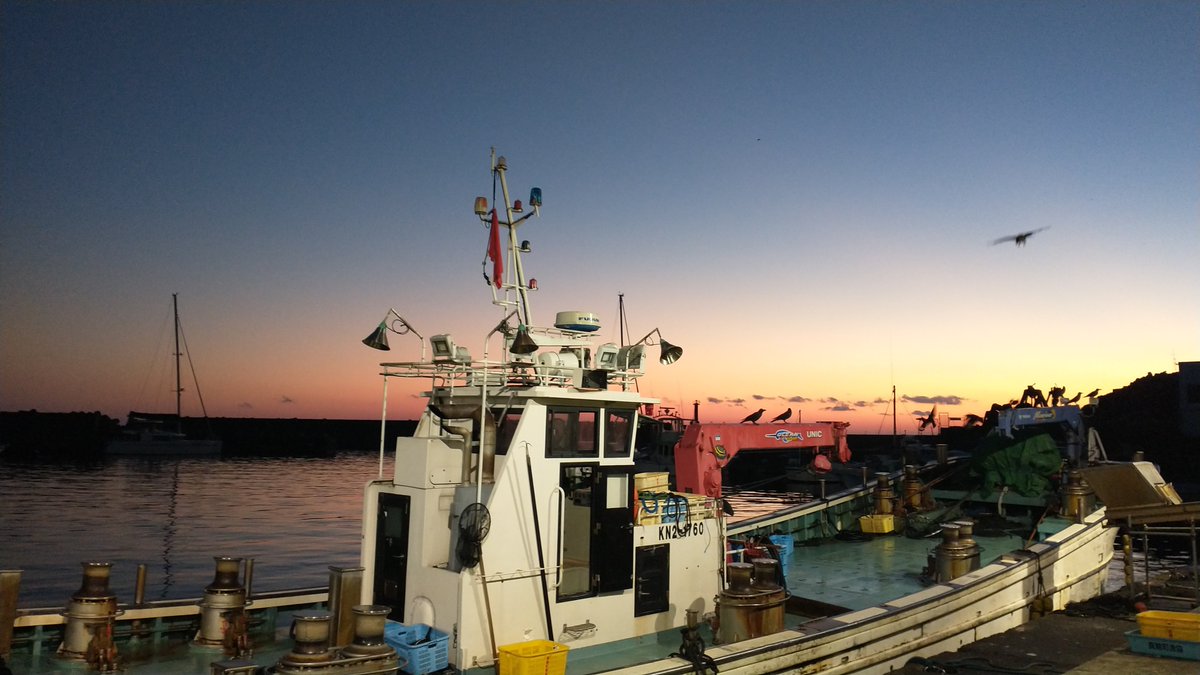 manazurugyokyo's tweet image. インスタグラマー😝