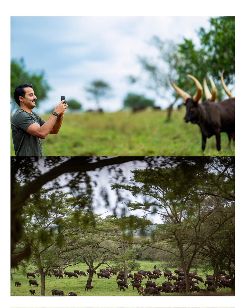 Official Visit of His Highness Sheikh Tamim bin Hamad Al Thani, Emir of Qatar | Kigali, 20 November 2025