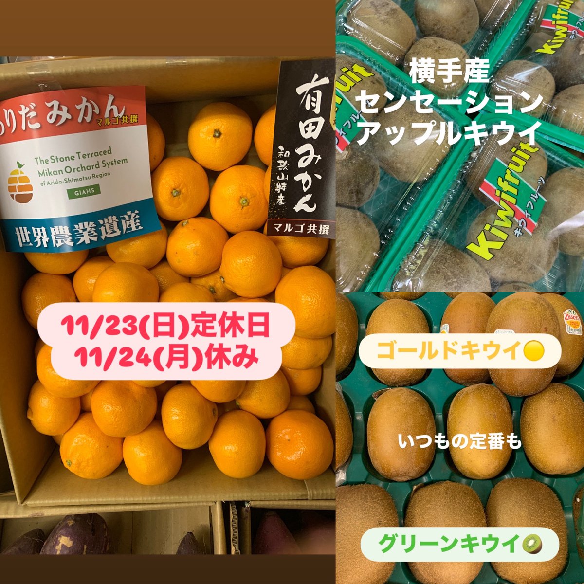 11/23(日)定休日🔴勤労感謝の日 11/24(月)休み🔴振替休日 みかん🍊が