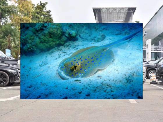 MoSmart_'s tweet image. 🖋Fog wraps valleys in gray silk💌Laptop shows photos