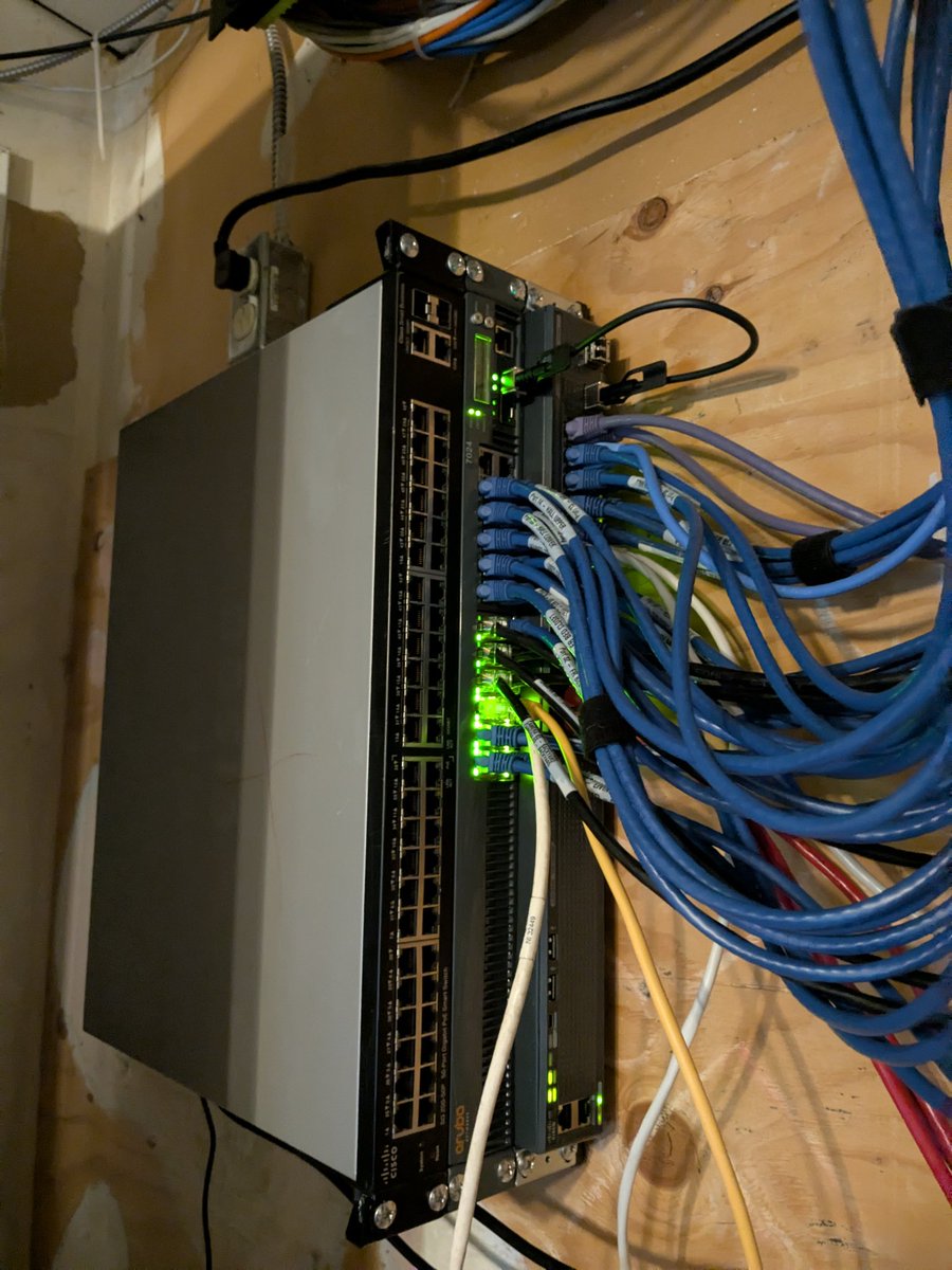 PostalDog tweet media