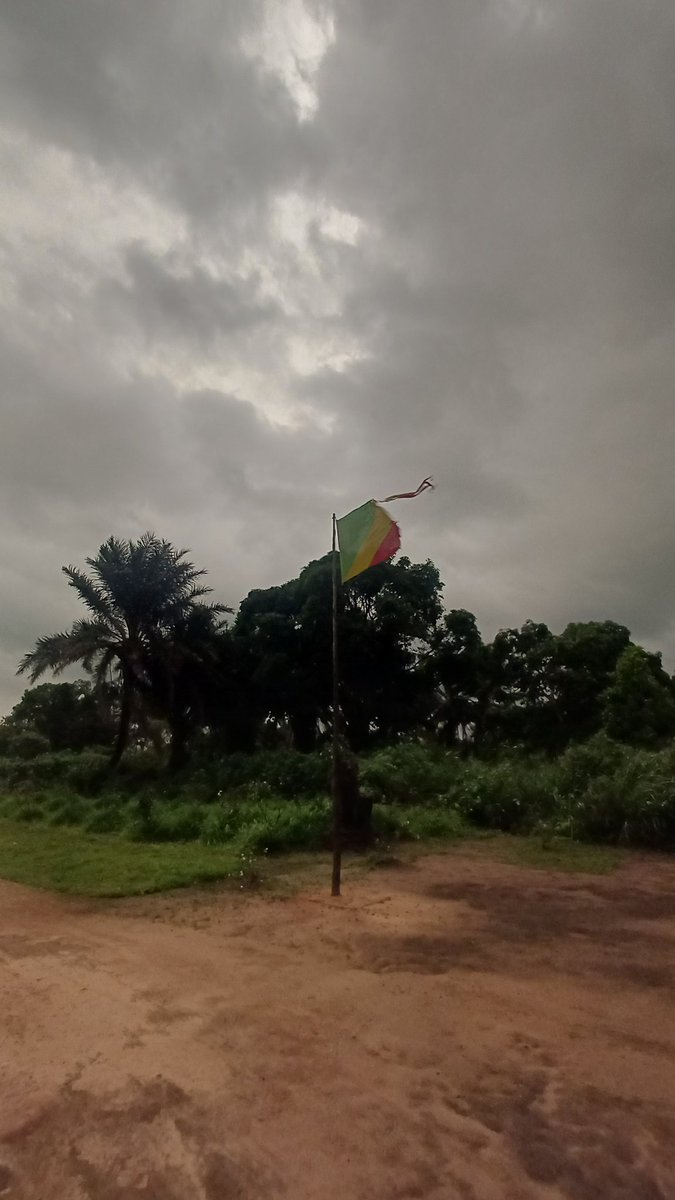 Przed chwilą z szefem wioski skończyliśmy wypijać domową łiski, która dobrze się komponowała z papają. Tu w Kongo od pewnego czasu coraz częściej napotykam się na ten owoc

Dzieciaki w Kongo wołają na mnie MONDELE (biały człowiek). Ciekawe jest też to, że od pewnego czasu w Kongo