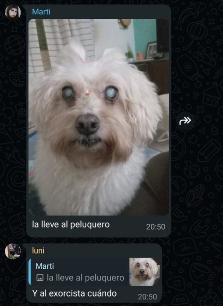 RetrAshado's tweet image. 