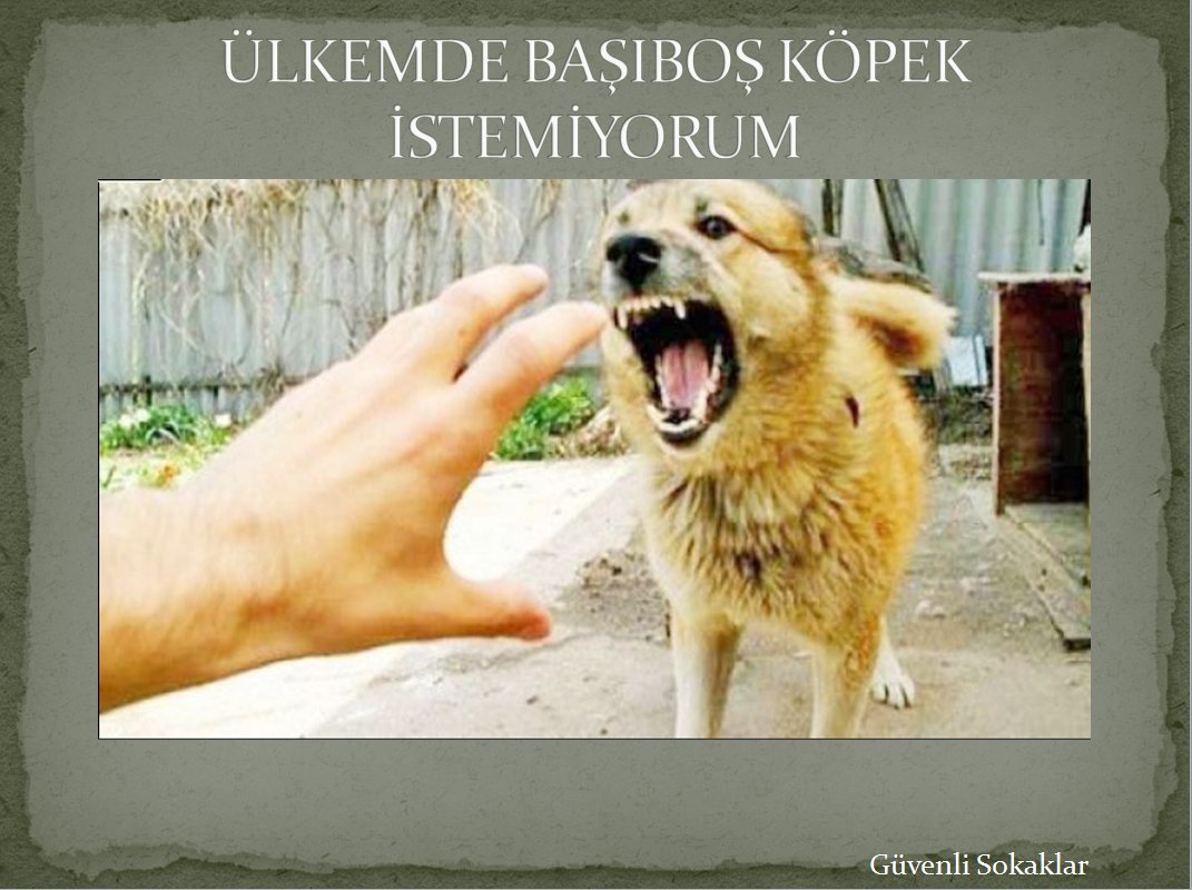 .#DünyaÇocukHaklarıGünü
Bir çocuğun tırnağı, dünyadaki tüm iki ve dört ayaklı başıboş köpeklerden 
Kıymetlidir !