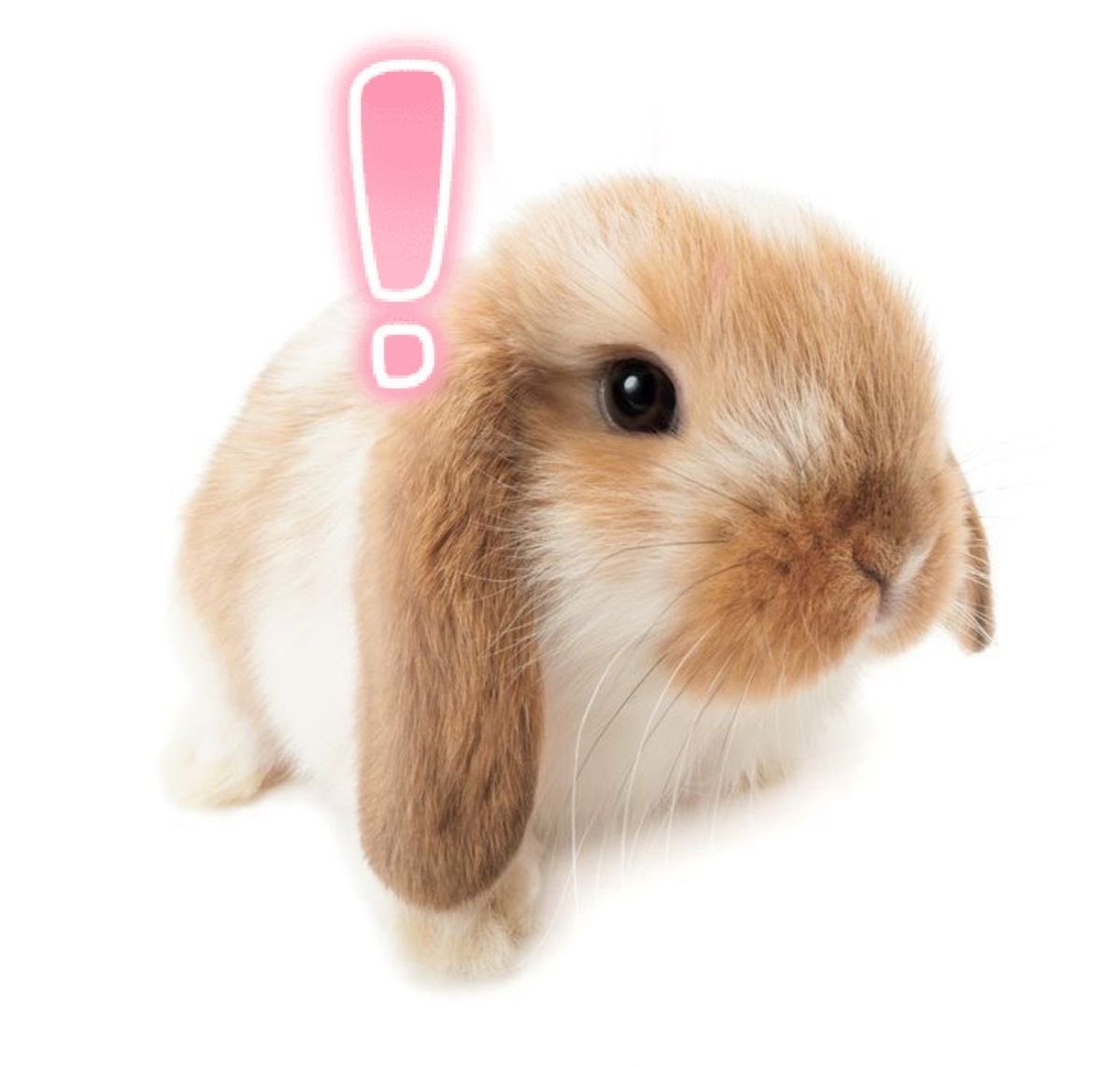 kudfie's tweet image. 