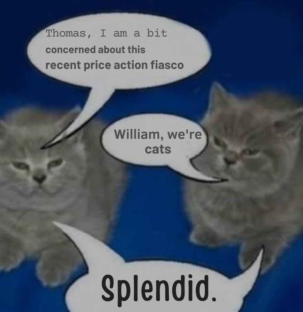 OrangeGooey's tweet image. buy chia anyway