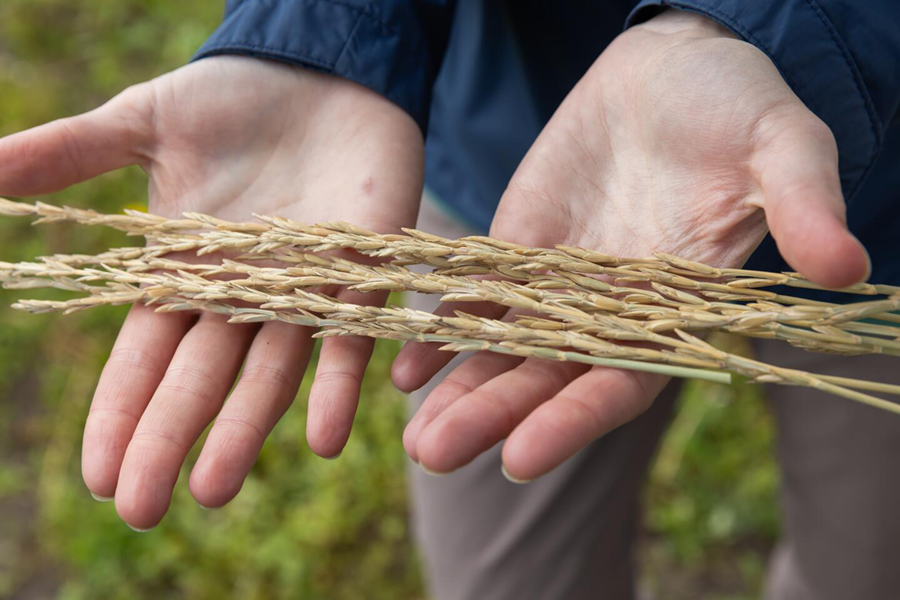 U of M Research tweet media