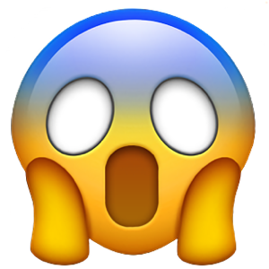 crazy illini lady tweet media