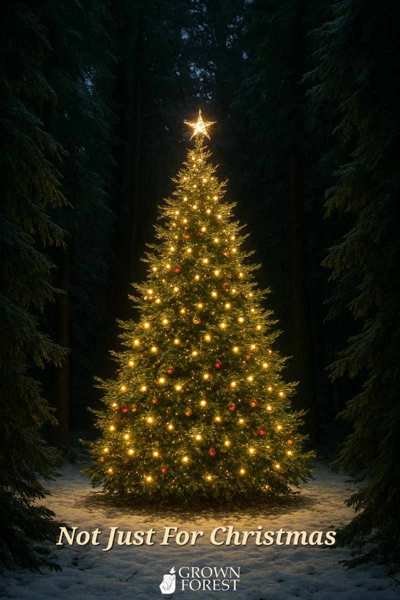 We all feel the magic when we put up our Christmas tree. The way it fills our home with warmth and joy. 🎄✨️ 
Imagine giving that joy to our planet.
Plant a tree and let its roots grow, spreading life, happiness, and beauty far into the future.

grownforest.ie