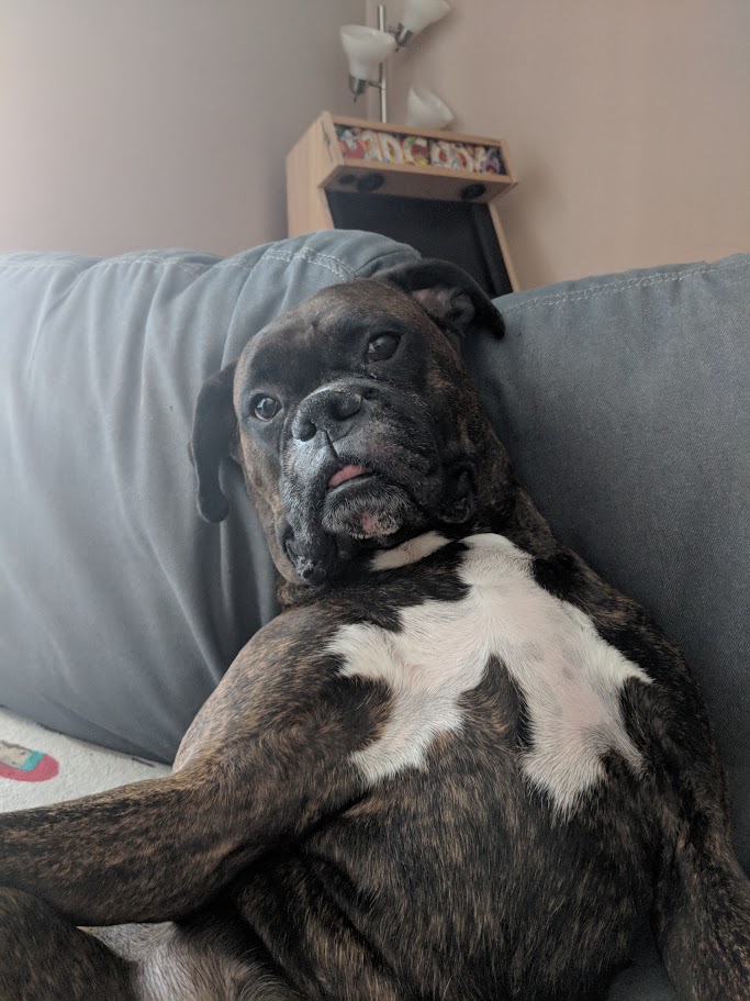 DarthMinos | Ryan tweet media