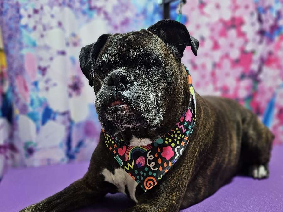 DarthMinos | Ryan tweet media