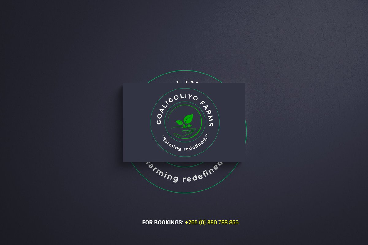 Scripture1984's tweet image. Designing for the best

For Designing and Bookings
0880788856
0994332384
chisokeciousizikiah@gmail.com

#marketing #MarketingDesign #lifestyle #ugsm