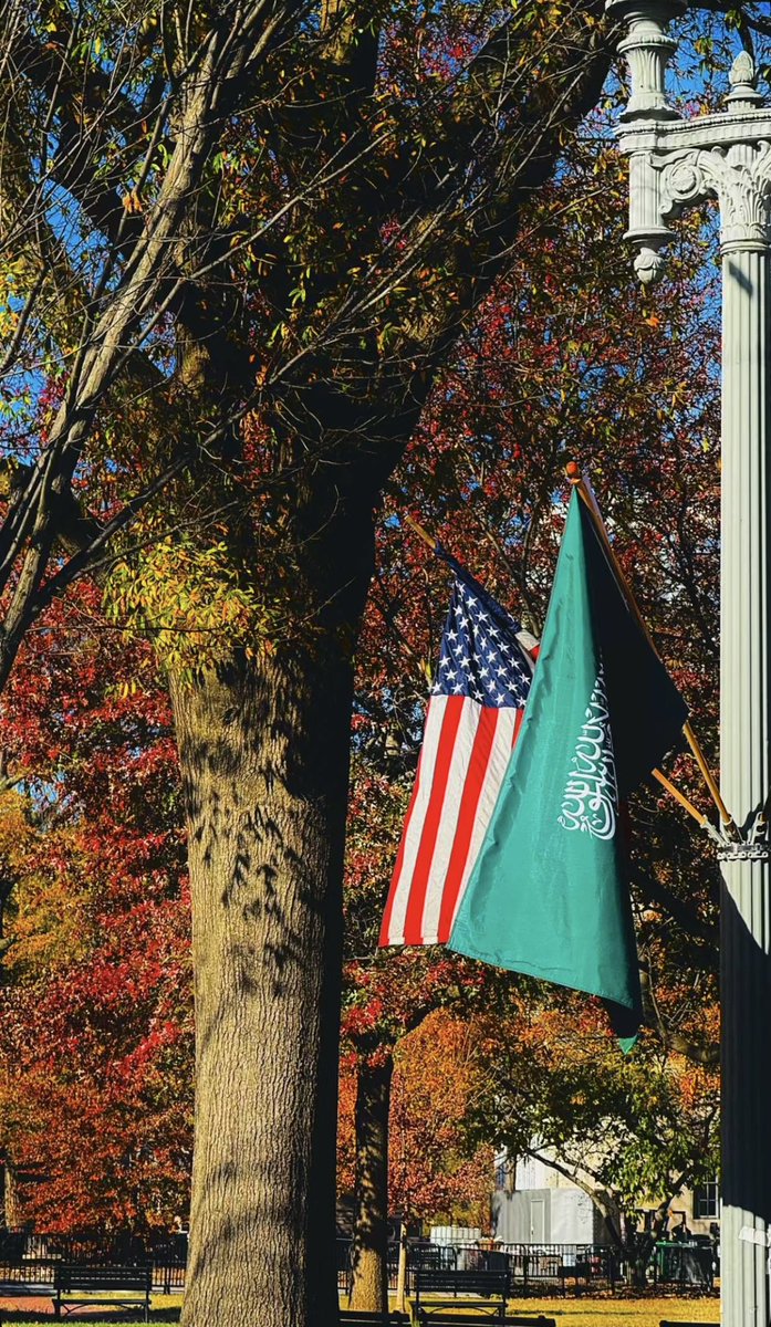 يامحمّد كيف مانغليك ؟
عزّك الله .. وعزّنا الله فيك 🇸🇦🤍