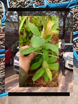 🖍161257routes de montagne sont emportées, villages en altitude sont coupés du monde. 🛣️⛰️🌊