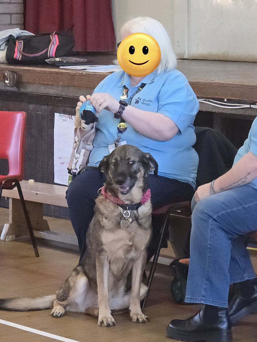 Castlehill Primary tweet media